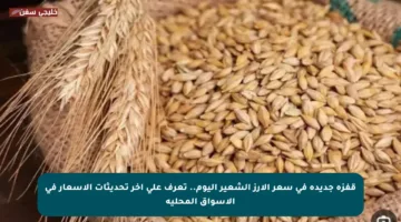 قفزة جديدة في سعر الأرز الشعير اليوم.. تعرف على آخر تحديثات الأسعار في الأسواق المحلية